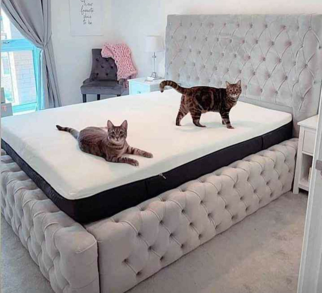 Single Bed Frame