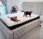 Single Bed Frame