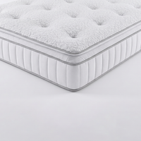 Canterbury 1000 Pillow Topper Tufted Mattress