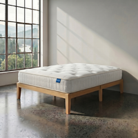 Platinum 3000 Pocket Mattress